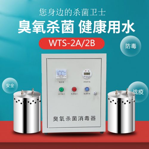 内置式水箱自洁消毒器WTS-2A