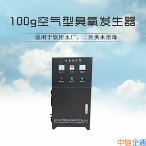 饮用水厂用空气型臭氧发生器GY-NW-100G