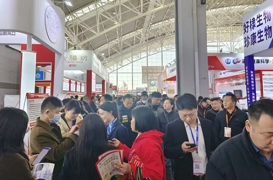 1713779469029045437.jpg 1.jpg