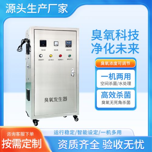 高浓度臭氧发生器空气源氧气源水大克数工业水处理杀菌脱色活氧机