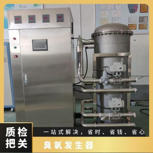 冠宇环保臭氧杀菌设备氧气源泳池行业可加工定制