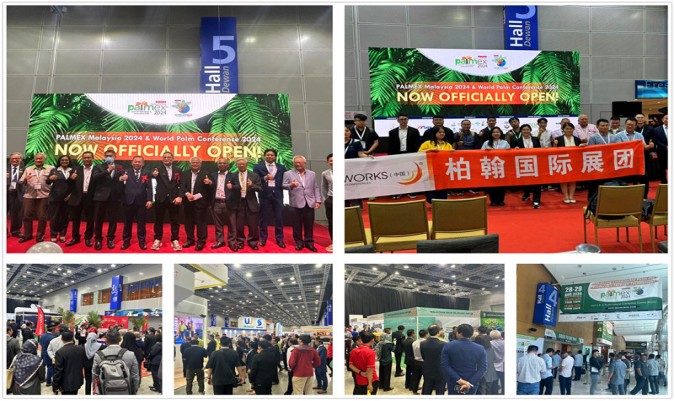 1765463522037064147.jpg 1.jpg