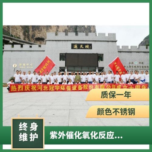 1万吨自来水厂紫外催化氧化反应器系统 1KW灯管 总功率48KW 冠宇环保