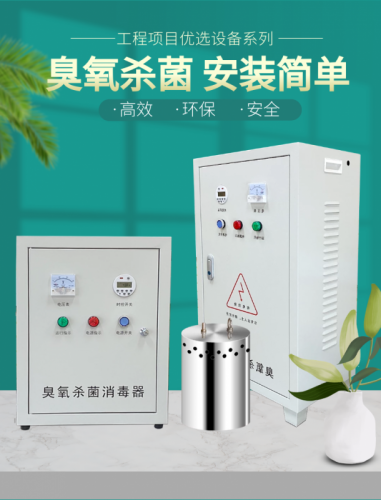 水箱自洁消毒器臭氧杀菌wts-2a内置生活水消防水电解消毒仪