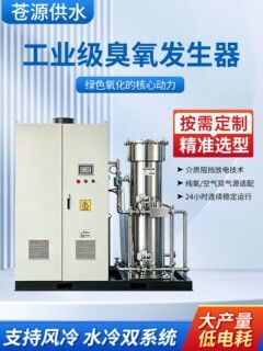 大型空间杀菌水处理臭氧发生器100g高浓度水产养殖食品厂按需定制