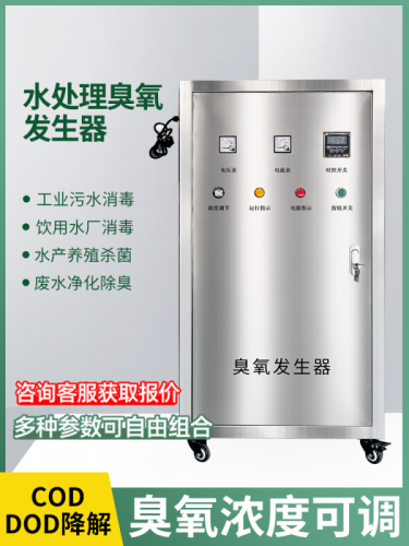 工业臭氧发生器废水脱色降解 COD水处理臭氧消毒设备