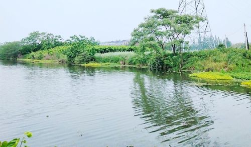 水利部：预计到2022年底全国将新增4000余家水利行业节水型单位