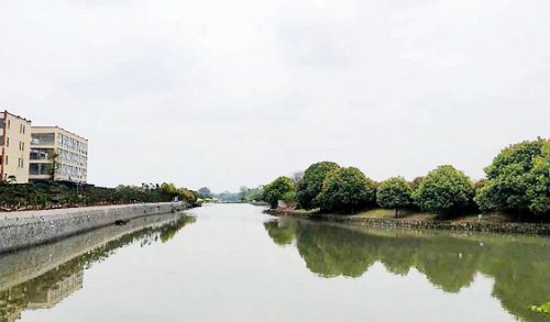 各省市纷纷成立环保集团，是市场危机还是转机？
