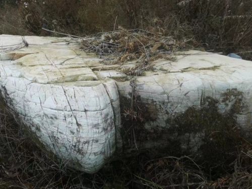 浙江金华景观石【植物置石】