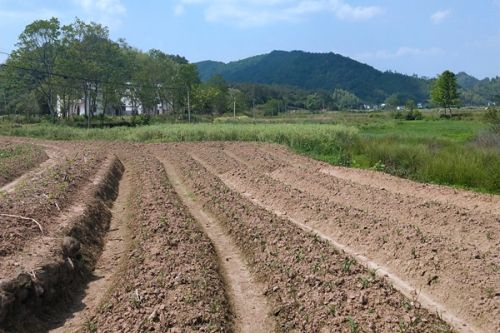 高能环境牵头预中标4.86亿元原武汉冶炼厂地块土壤污染修复项目EPC！