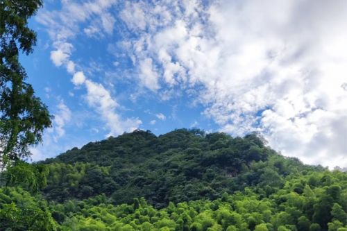 空气资讯｜广西6月13日空气质量日报＋未来7日空气质量预报