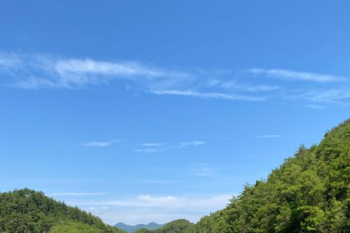 生态环境部印发《中国消耗臭氧层物质替代品推荐名录》