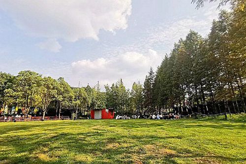 7月6日生效！《成都市污染治理和节能减碳领域市级预算内基本建设投资暂行管理办法》来了！