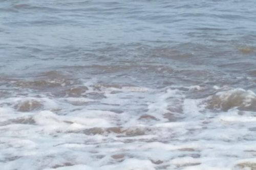 粤海水务：以“星级水厂”为抓手，推动节能降耗见实效