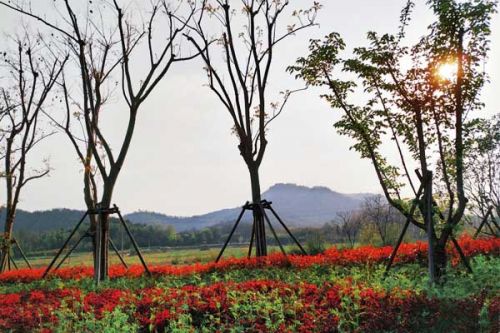 湖北恩施州召开州城大气污染防治攻坚行动推进会