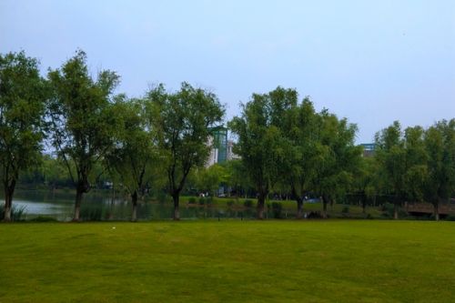 2370万！大地益源环境预中标广州海珠区三滘立交地块土壤污染修复工程施工项目！