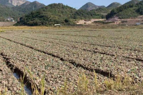 浙江省建设用地土壤污染风险管控和修复名录（2023年6月20日更新)