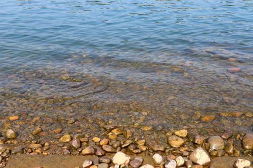 重点流域水生态环境保护规划| 统筹水资源、水环境、水生态治理，构建太湖流域水生态环境保护新格局