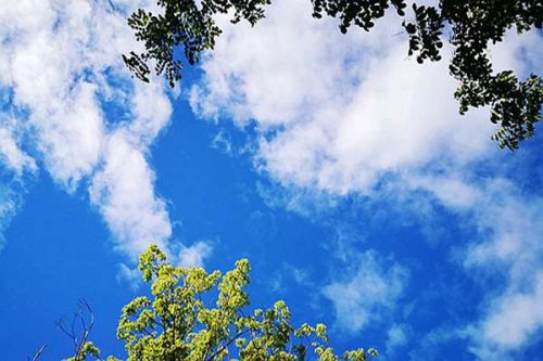 辽宁：累计争取大气治理中央专项资金1.42亿元，完成重点改造项目397个