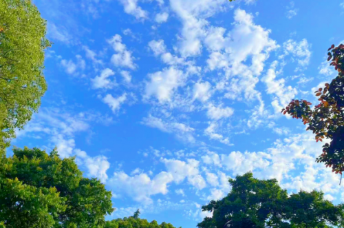 科技赋能 提质增效——江苏省环境科学研究院无人机采样监测技术助力VOCs智慧监管