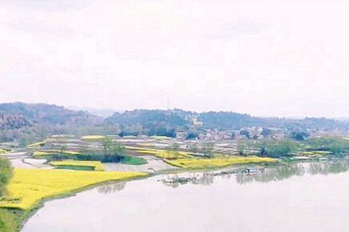 政策解读〡《山东省黄河流域生态环境保护专项规划（修订版）》