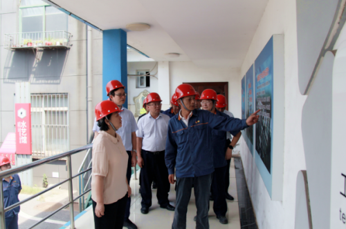 湖南省第二生态环境保护督察组督导帮扶湘钢环保工作