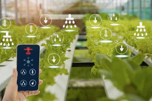 疾风知劲草！林草碳汇、海洋碳汇等满满都是“生意经”