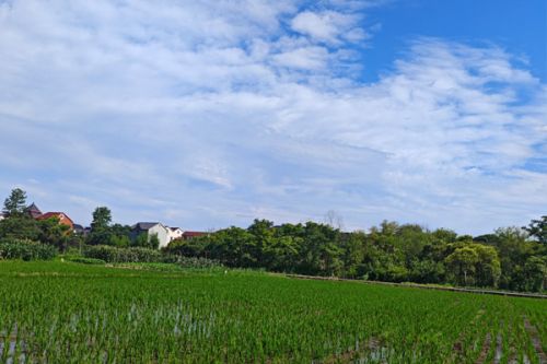 生态环境部发布2023年7月上半月全国空气质量预报会商结果