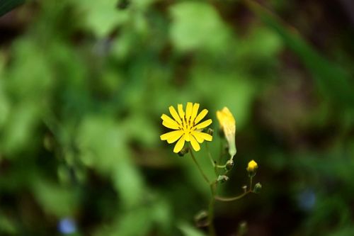 《工业重点领域能效标杆水平和基准水平（2023年版）》之五问五答