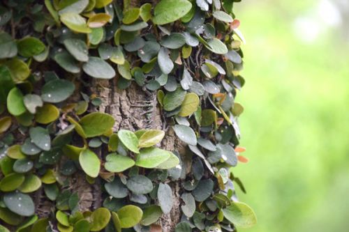 青海黄南州召开深入打好污染防治攻坚战暨各类环保督察反馈问题整改工作推进会议！