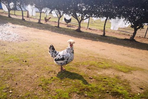 土壤三普进程如何？多地启动调查采样，验收同步开展