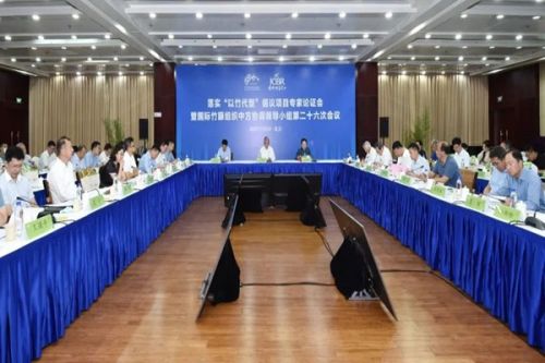 中林集团参加落实“以竹代塑”倡议项目专家论证会