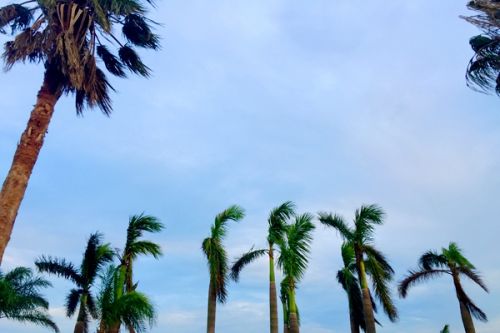 2023年海南省应对气候变化及蓝碳研究培训班在海口举办