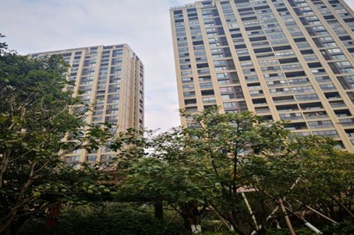 北京、深圳究竟是什么宝藏城市！次次都是低碳排名“三好生”