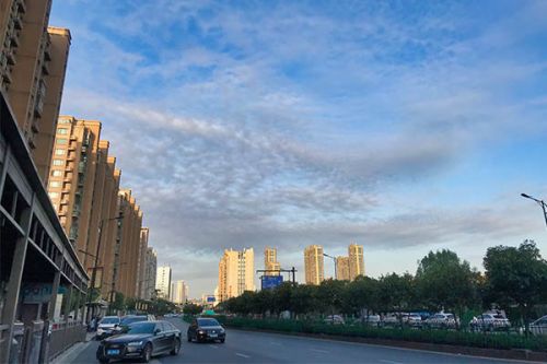 济南市持续推动2023年“清废行动”突出问题排查整治工作