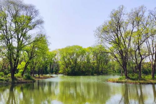 淮南市生态环境局“三治”发力推动水生态环境持续改善