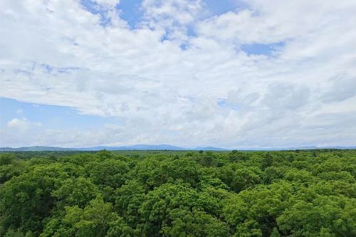 浙江省2023年“全国低碳日”活动举行