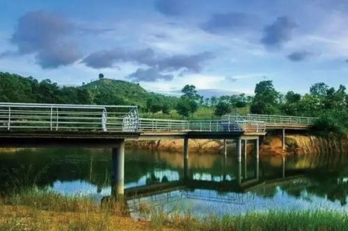 水专项里的典型工程示范丨尾水生态净化造就城市“绿肺”