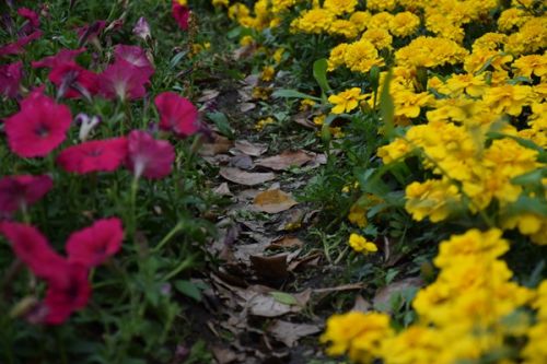 《山西省建设用地土壤污染风险管控和修复名录》（2023年第1期）来了！