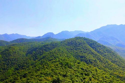 安徽省应对气候变化城市典型案例