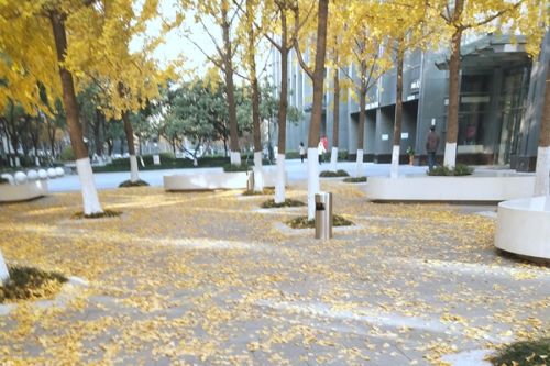 3年预算超8亿！北京市拟于10月采购市属城市道路清扫保洁项目！