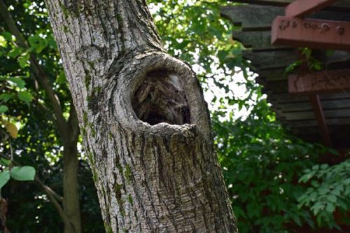 《浙江省土壤污染防治条例（草案）》公开征求意见