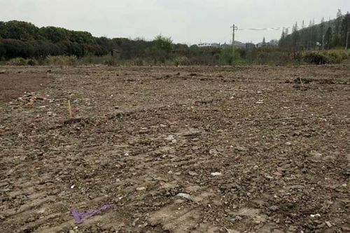 《污染地块土壤重金属稳定化效果评估技术规范》团体标准征求意见