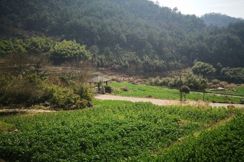 秸秆“变身”5000亿的“金疙瘩”，农业部透露下一步计划