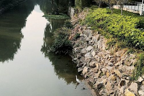 湖北省农村生活污水治理三年行动方案（2023-2025年）亮9大重点任务！