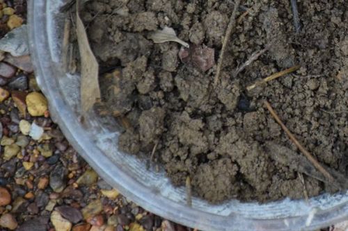 北京建工修复方案探索丨信阳农药地块风险管控打造“生态氧吧”