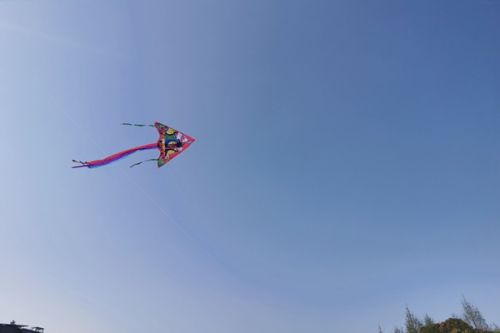 福州市整治工业企业扬尘污染