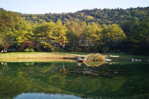 全面消除农村黑臭水体！湖北省2025年农村生活污水治理率达50％以上