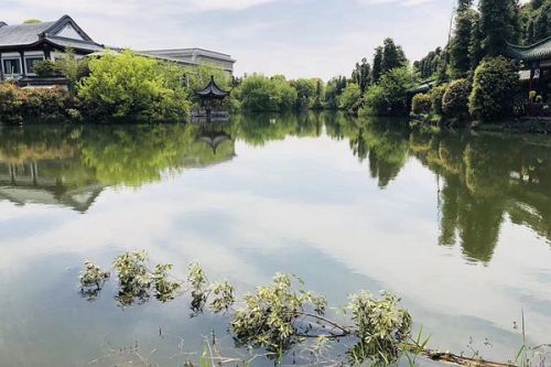 黑臭水体真这么难治？一个关键，一个核心要抓牢