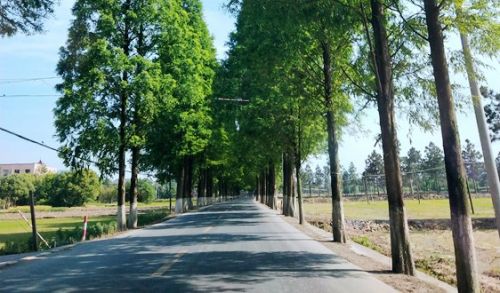 安徽省督导帮扶组赴有关市指导农村环境整治和黑臭水体治理试点工作